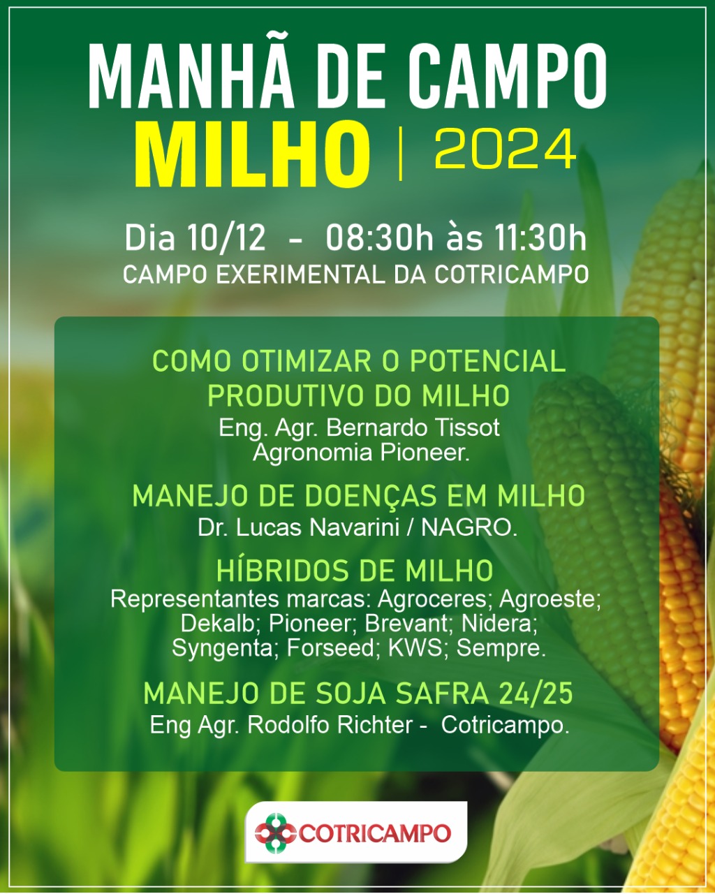 Detec Cotricampo promoverá Manhã de Campo Milho 2024, no próximo dia 10 de dezembro