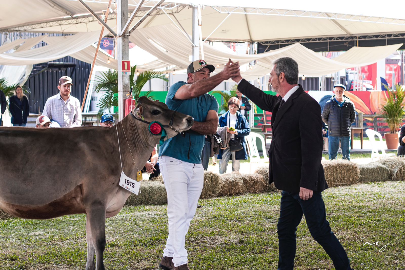 Produtores apoiados pela Cotricampo mais uma vez se destacam durante a Expointer